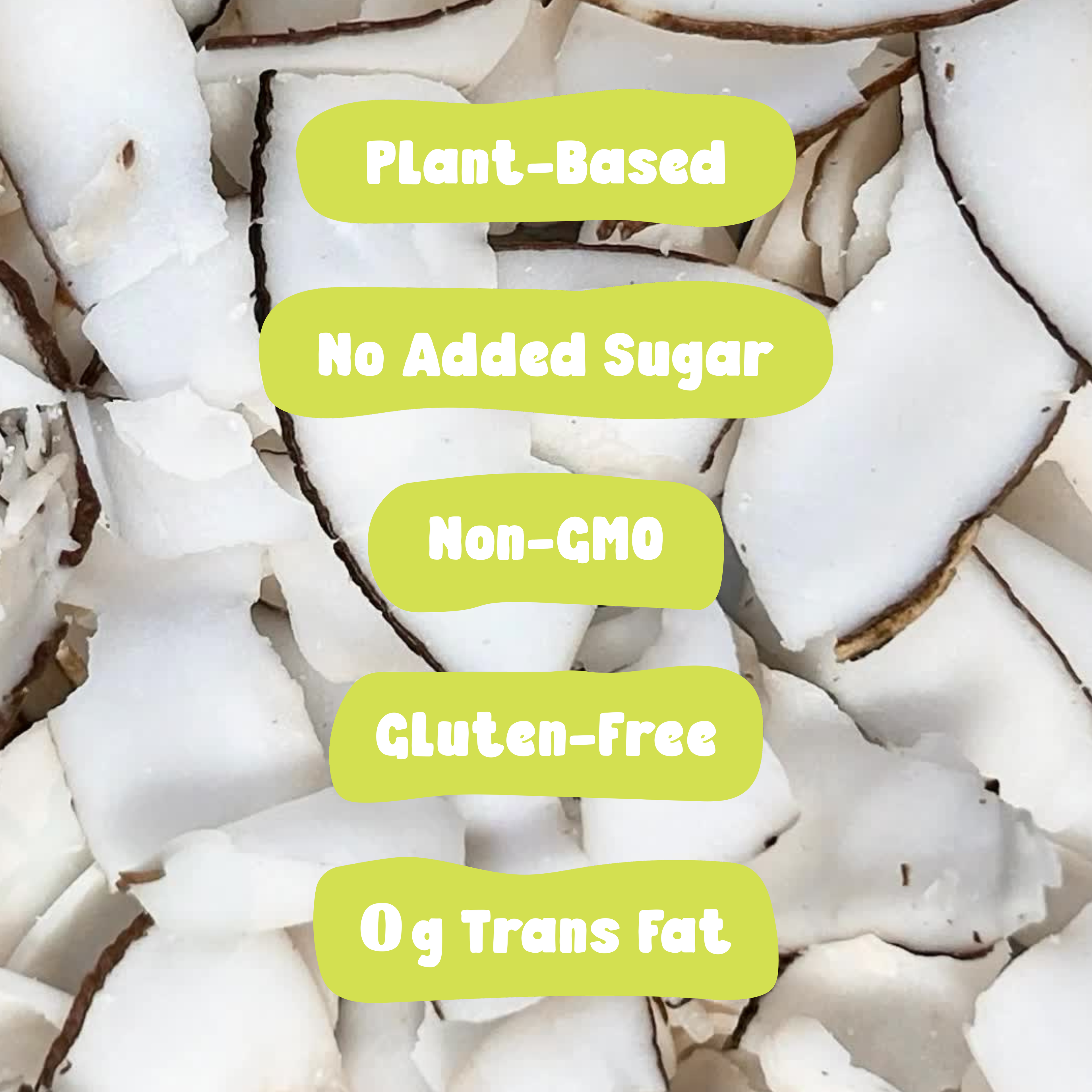 COCOCURL Crafted Crunchy Coconut Chips – Salted